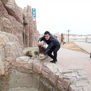 ���������� ������, ���� ������� ����, 28 ���, ������������ ��� ������, ����� � ���������, c�������� ���������, ���������