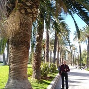 ���������� ������, ���� ������� ����, 58 ���, ������������ ��� ����� � ���������, c�������� ���������