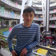  ,   LION, 41 ,   