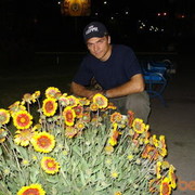  ,   , 39 ,     , c , 