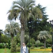  ,   Aleksiy, 41 ,   ,   , c 