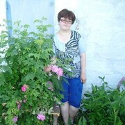 ���������� �����������, ���� ������� ������, 55 ���, ������������ ��� c�������� ���������