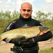 ���������� ����, ���� ������� ����, 45 ���, ������������ ��� ������, ����� � ���������