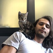  ,   , 29 ,   ,   