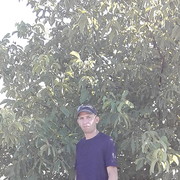  ,   , 49 ,     , c 