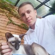 ���������� ���������, ���� ������� ������, 28 ���, ������������ ��� ������, ����� � ���������, c�������� ���������, ���������