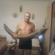  ,   , 61 ,   