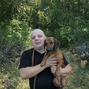  ,   , 51 ,   