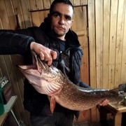 ���������� �������, ���� ������� �����, 36 ���, ������������ ��� ������, ����� � ���������, c�������� ���������