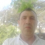  ,   , 51 ,   ,   