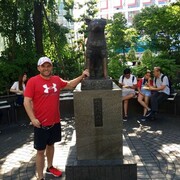 ���������� ������, ���� ������� ����, 39 ���, ������������ ��� ������, ����� � ���������, c�������� ���������