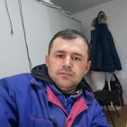 ���������� �������, ���� ������� ������, 36 ���, ������������ ��� ����� � ���������, c�������� ���������