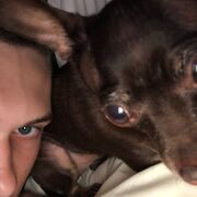 ���������� �����������, ���� ����� ������, 22 ����, ������������ ��� ������, ����� � ���������