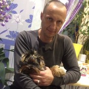 ���������� ���������, ���� ������� ������, 49 ���, ������������ 