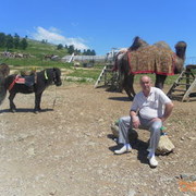  ,   Cavansir, 63 ,     , c 