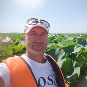 ���������� �������, ���� ������� ����, 50 ���, ������������ ��� ������