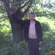  -,   , 38 ,   