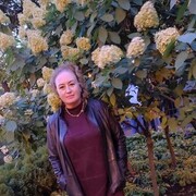 ���������� ������, ���� ������� ��������, 58 ���, ������������ ��� ����� � ���������, c�������� ���������