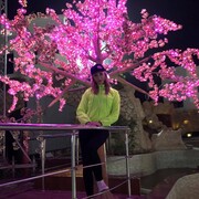  ,   , 48 ,   ,   , c , 