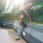  ,   , 51 ,   ,   , c 