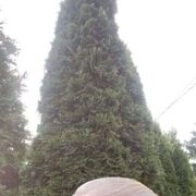  Lomianki,   Badri, 57 ,   ,   