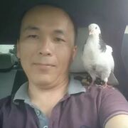 ���������� ������, ���� ������� ����, 40 ���, ������������ ��� ������, ����� � ���������, c�������� ���������, ���������