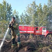 ���������� �����, ���� ������� ������, 38 ���, ������������ ��� ����� � ���������, c�������� ���������