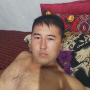  Szczecin Pogodno,   , 31 ,   ,   