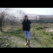 ���������� �����, ���� ������� ��������, 38 ���, ������������ ��� ����� � ���������, c�������� ���������