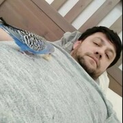  -,   , 44 ,   ,   