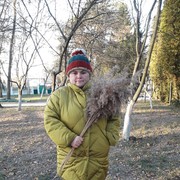  ,   , 37 ,   ,   , c 