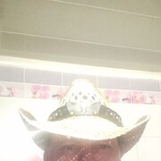  ,   , 49 ,   ,   