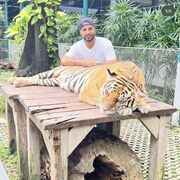  ?,   Ahmad, 33 ,   ,   