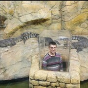 ���������� ������, ���� ������� ����, 48 ���, ������������ ��� ������, ���������