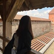 ���������� ������������, �����