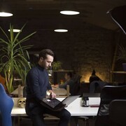 ���������� ����, ���� ������� ���������, 33 ����, ������������ ��� ������, ����� � ���������, c�������� ���������