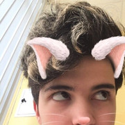 ���������� ������, ���� ����� ���, 25 ���, ������������ ��� ������