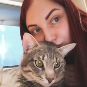 ���������� �����-���������, ���� ������� ����� ������, 27 ���, ������������ ��� ������, ����� � ���������