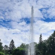 ���������� ������� ��������, ���� ������� ������, 46 ���, ������������ ��� ������, ����� � ���������