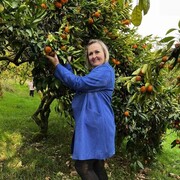 ���������� �����-���������, ���� ������� �����, 47 ���, ������������ ��� ����� � ���������, c�������� ���������