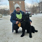  ,   Vesna VIP, 52 ,   c 
