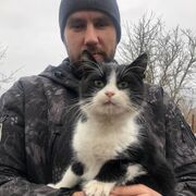  ,   , 35 ,  