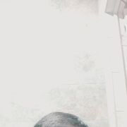  ,  ilhom, 41