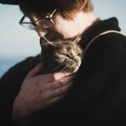 ���������� �����������, ���� ����� �����, 25 ���, ������������ ��� ����� � ���������, c�������� ���������