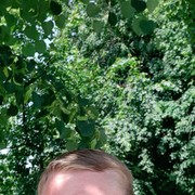 ���������� �����-���������, ���� ������� �����, 40 ���, ������������ ��� ������, ����� � ���������, c�������� ���������