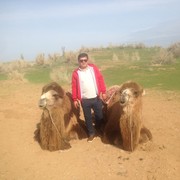 ,   Alisher, 35 ,   ,   , c 