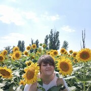  --,   , 42 ,   ,   , c 