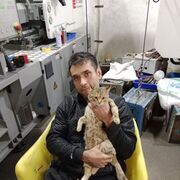 ���������� �������, ���� ������� Rifkat, 37 ���, ������������ ��� ������, ����� � ���������