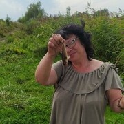  ,   , 55 ,   ,   