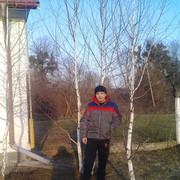  ,   , 41 ,     , c 